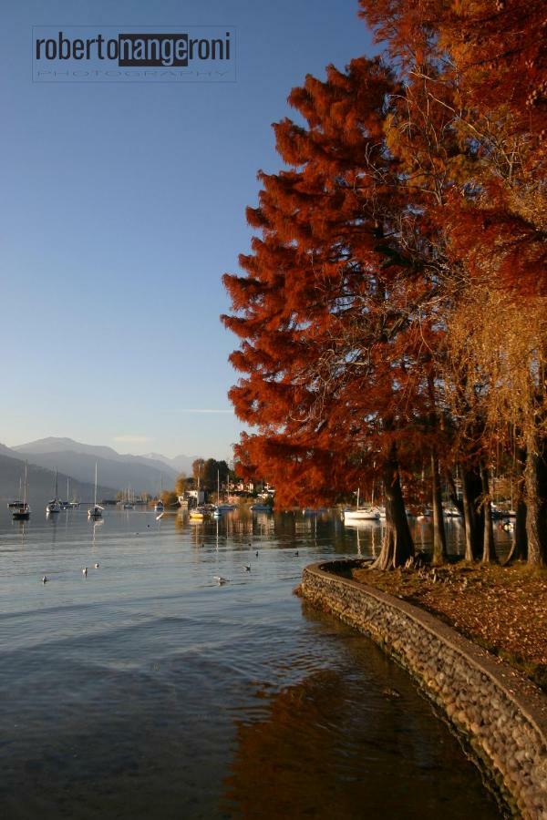 Cristal Lake Affittacamere Ispra Exterior foto